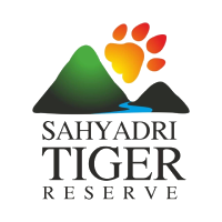 logo9